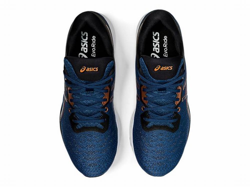 Tenis Para Correr Asics M xico Tiendas EvoRide Hombre Grises Oscuro