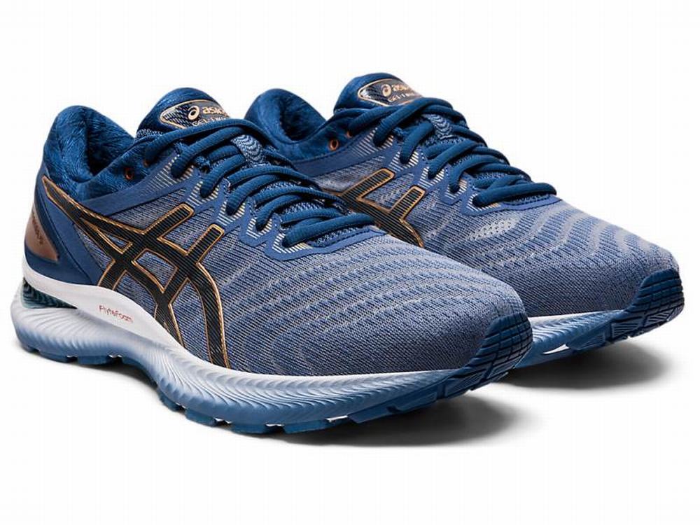 Venta Tenis Para Correr Asics Mexico GEL NIMBUS 22 2E Hombre Grises