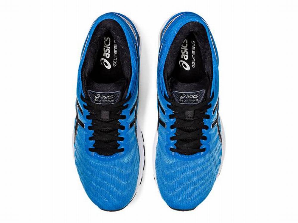 Asics gel nimbus top 22 hombre