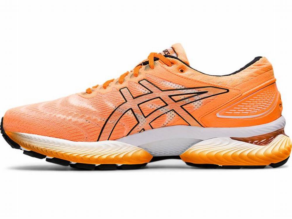 Asics nimbus shop 22 modern tokyo