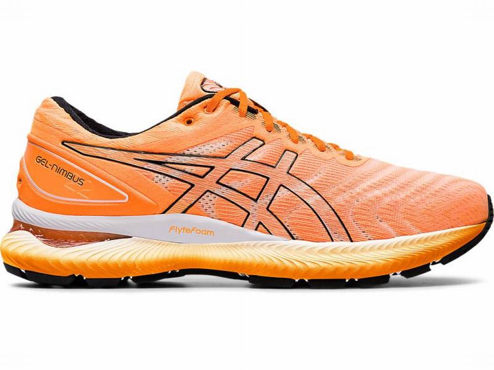 Comprar Tenis Para Correr Asics Outlet GEL NIMBUS 22 MODERN