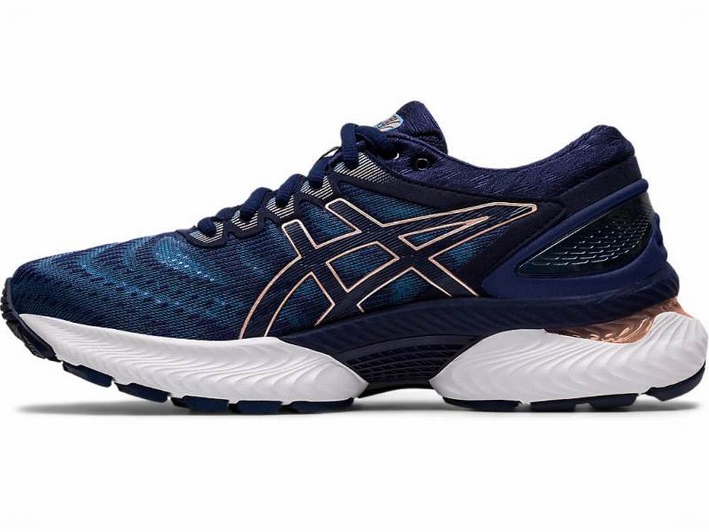 Asic nimbus shop 22 mujer
