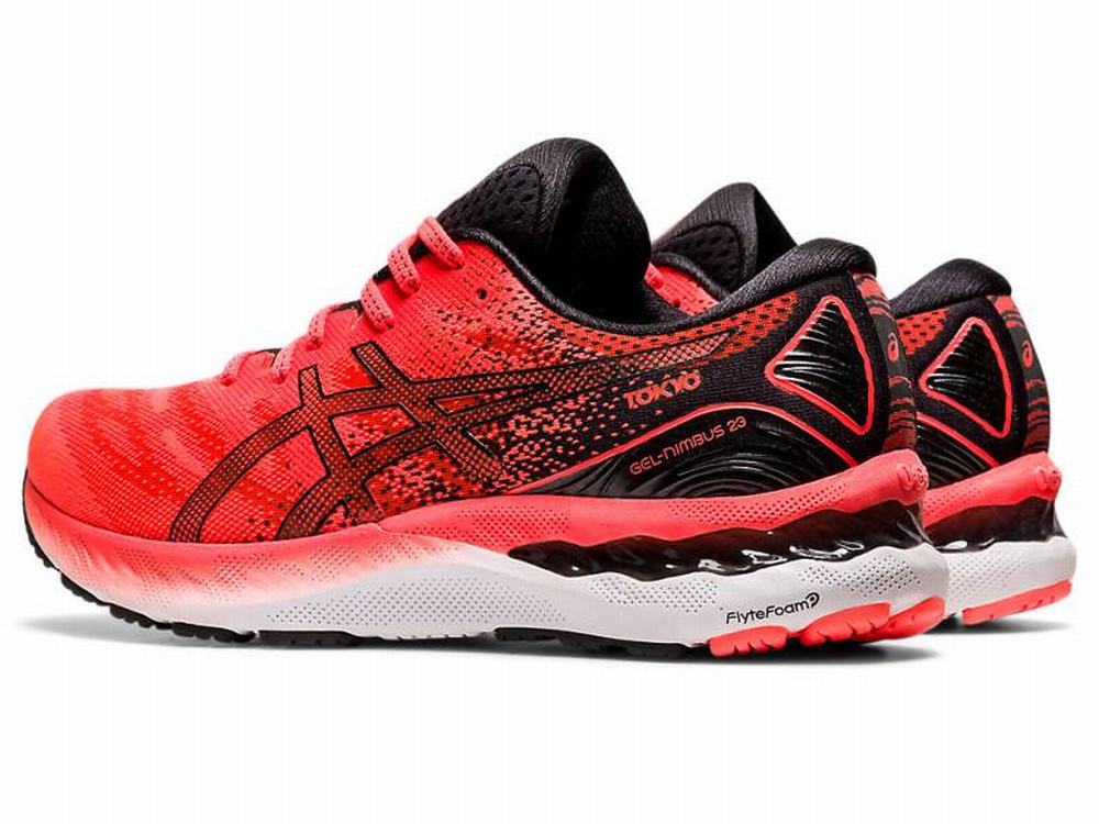 Asics nimbus deals baratas